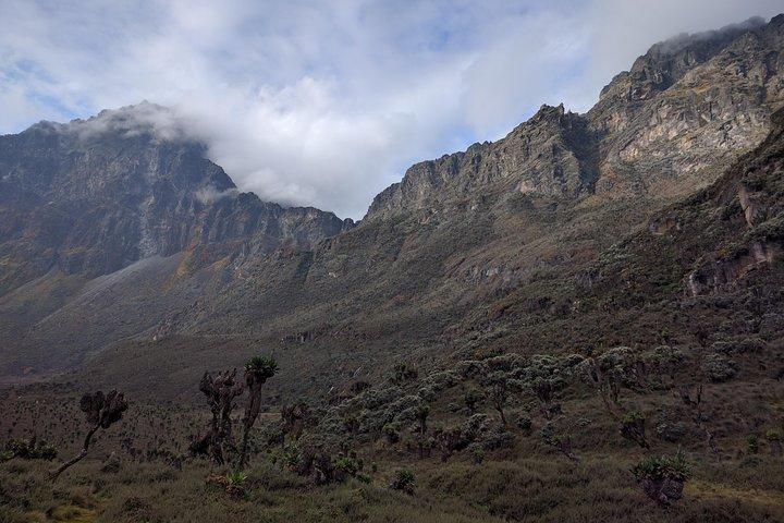 5 Dias Rwenzori Caminhadas Uganda