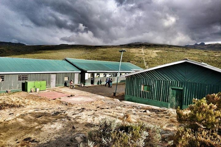 Overnight safari to Olpajeta Conservancy and Mount Kenya Climbing