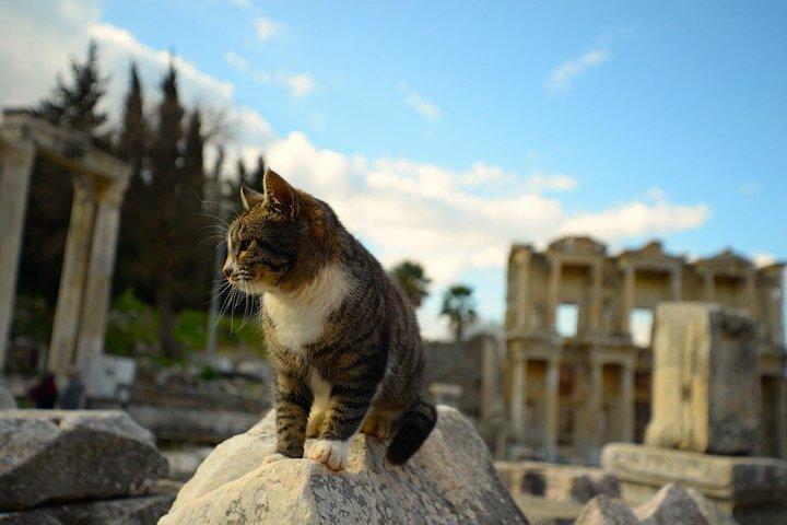 Privat – Haupttour durch Ephesus – SKIP THE LINE TICKETS