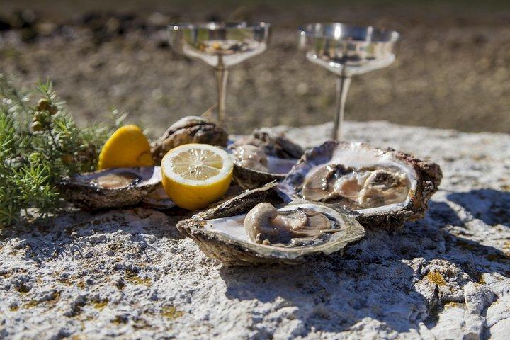 Weinprobe auf der Halbinsel Peljesac – Luxustour ab Dubrovnik