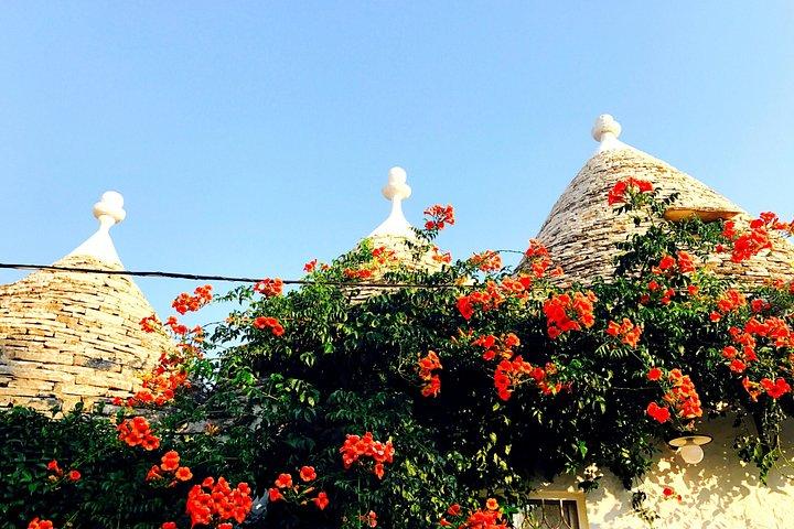 Hoteller i nærheden af Trulli Alberobello e Locorotondo