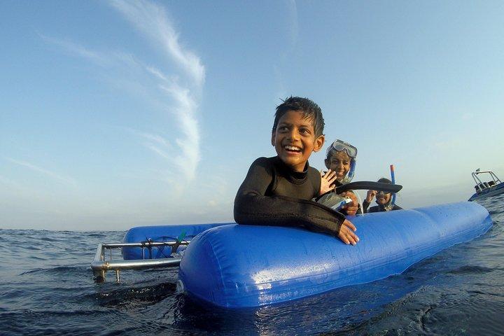 Plongée en apnée avec des requins en cage et sans cage sur le banc Aliwal de Durban