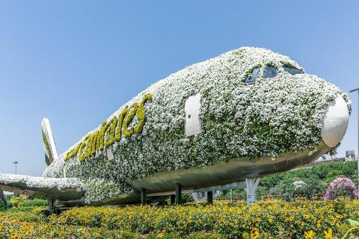 Miracle Garden e Global Village con biglietti d'ingresso e trasferimenti