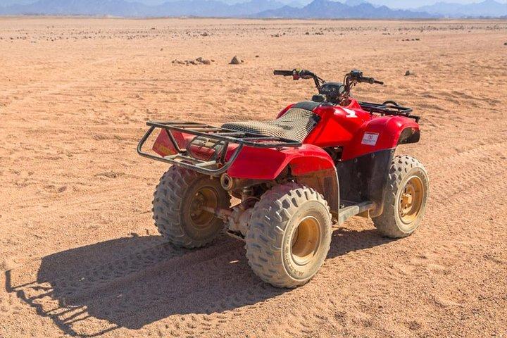 2 hours quad ride in palmeraie marrakech