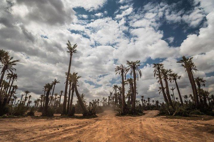 2 hours quad ride in palmeraie marrakech