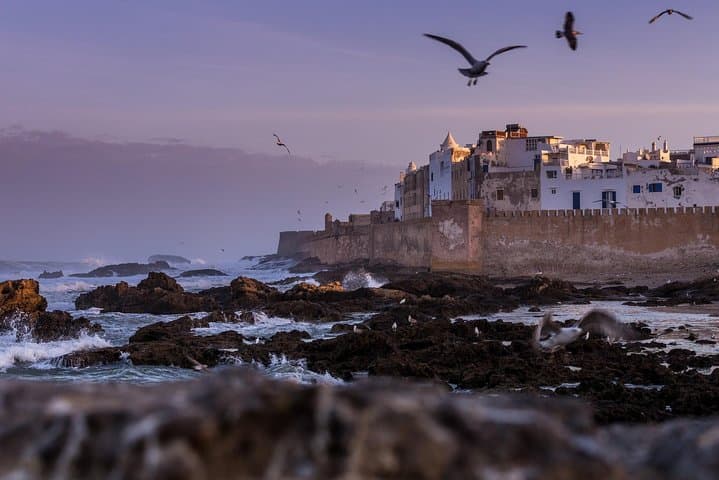 Essaouira Day Trip from Marrakech: UNESCO Medina, Beach & Lunch