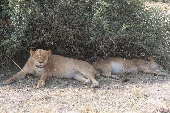 Safari en camping mobile de 15 jours au Botswana