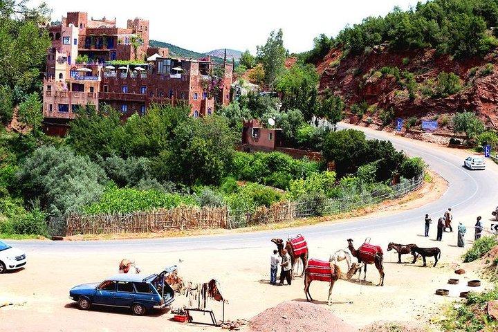 Marrakech : shared trip to ourika valley with guide & lunch