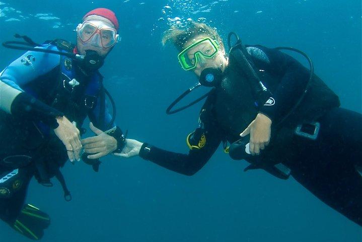 Scuba Diving Hermosa e Coco Beach per subacquei certificati
