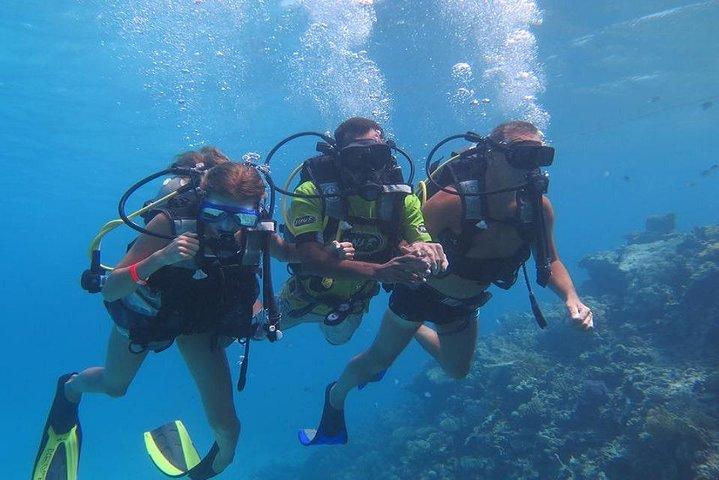 ハルガダからユートピア島への終日シュノーケリング旅行