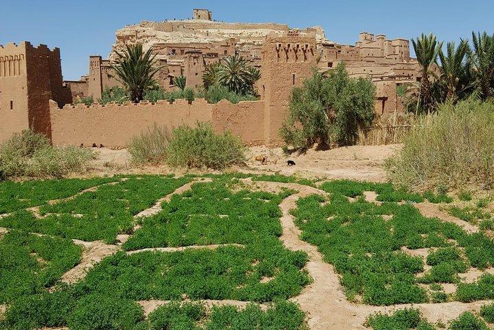overnight in the zagoura desert 1n/2 days