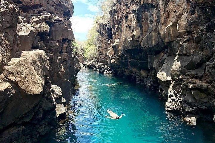Half Day Bay Tour in Santa Cruz Island