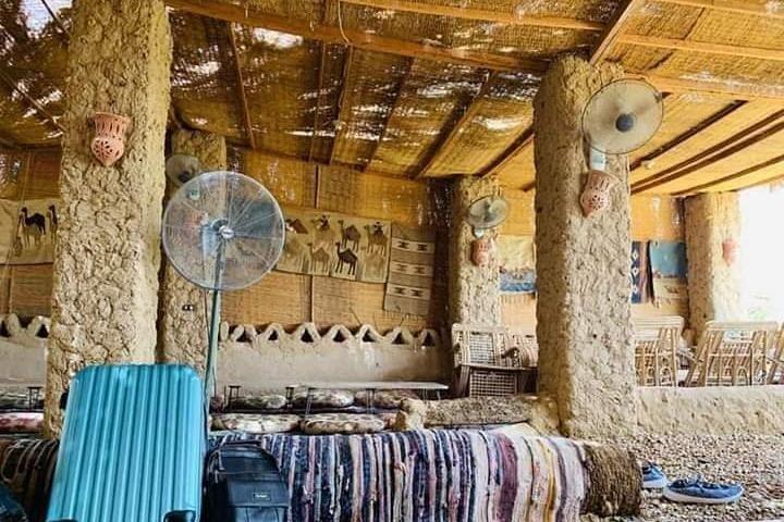 カイロからの白い砂漠とバハリヤオアシスツアー