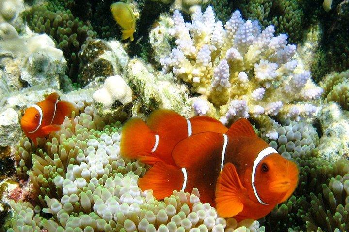 Lizard Island Day Tour by Air from Cairns