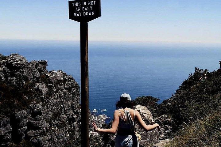 Camine por Table Mountain o Lions Head en Ciudad del Cabo como un local