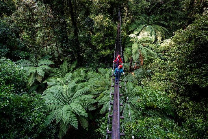 Die originale Canopy Zipline Experience-Privattour ab Auckland