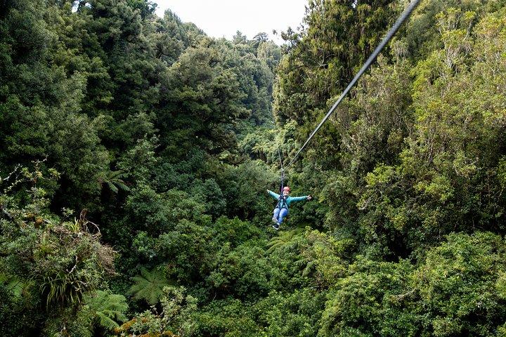 Die originale Canopy Zipline Experience-Privattour ab Auckland