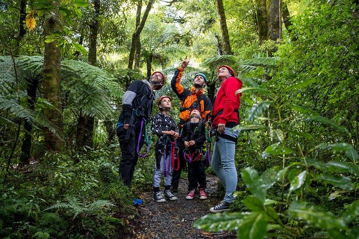 Die originale Canopy Zipline Experience-Privattour ab Auckland