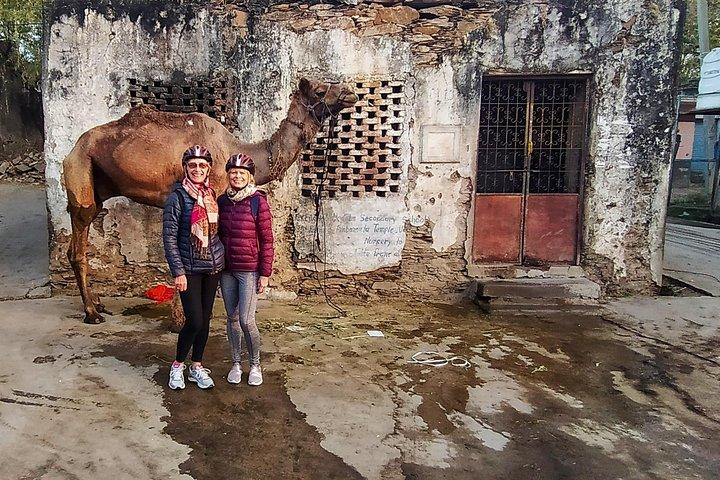 Udaipur Fahrradtour