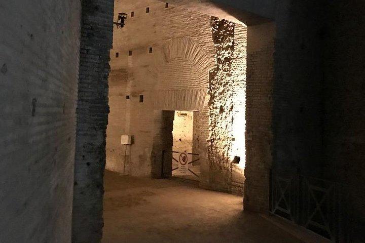 Visita guiada a Domus Aurea