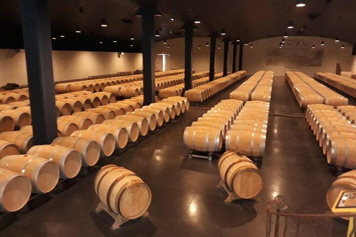 El Médoc en un sidecar, ¡magia!