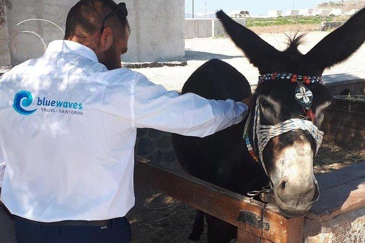 Privé Santorin 4 - Heures Tour : Oia, Megalochori & dégustation de vins