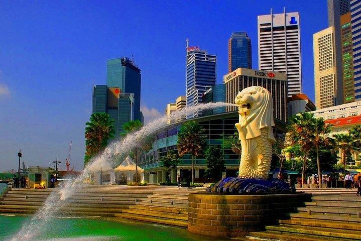 Lufthavnstransport: Singapore til SIN Lufthavn med luksusbil