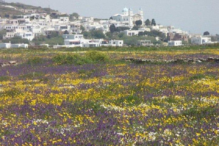 Tinos ø-tur fra Mykonos