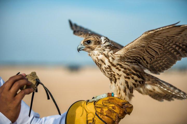 Tour dell'ospedale Falcon con prelievo e rientro in hotel
