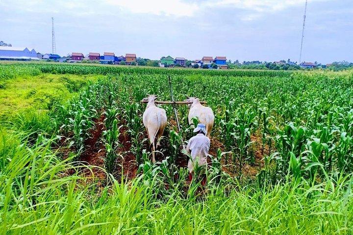Fietstocht door het platteland van Phnom Penh
