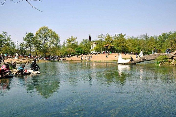 杭州のW鎮と西湖の日帰りツアー