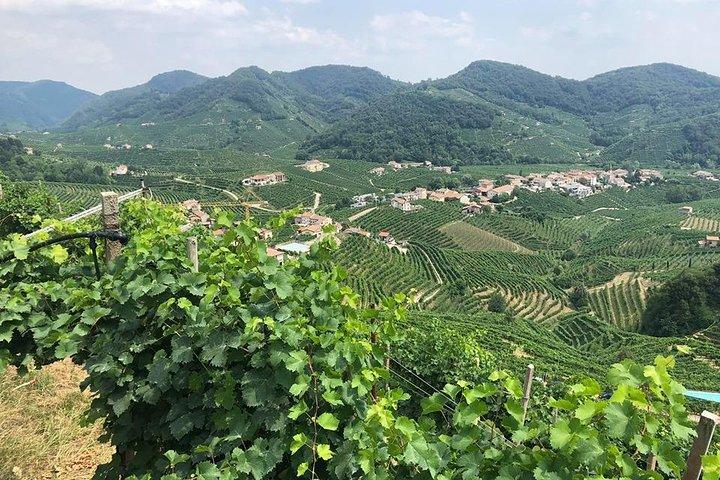 Dia inteiro de prosecco e degustação de queijo de Veneza