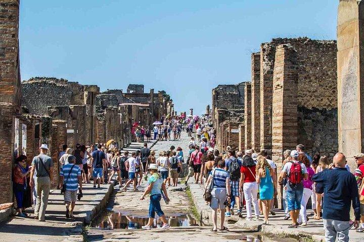Tour privado a Pompeya con guía local y entrada