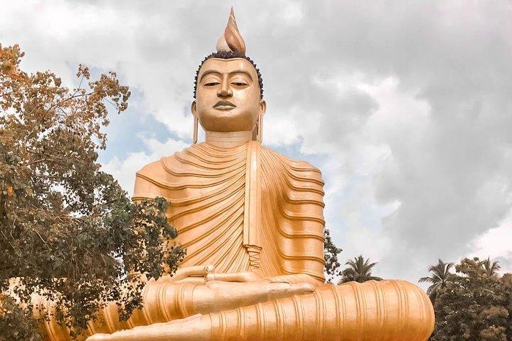 Wild Wonders and Hidden Temples from Galle (2 giorni)