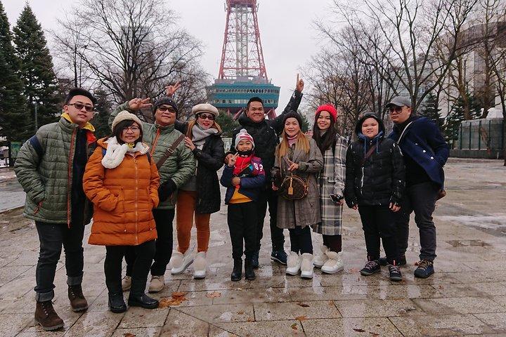 Sapporo 4 timers privat tur med statsautoriseret guide