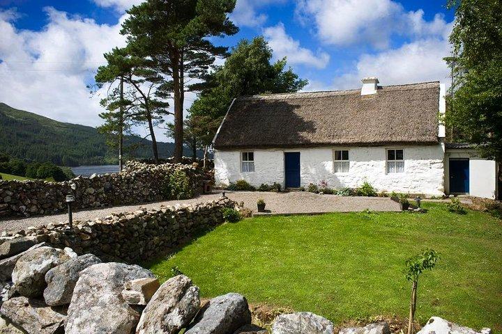 Excursão privada de meio dia a Connemara