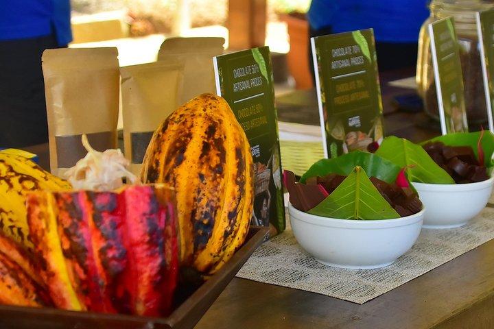 Ocean View Canopy Zipline + Chocolate Experience