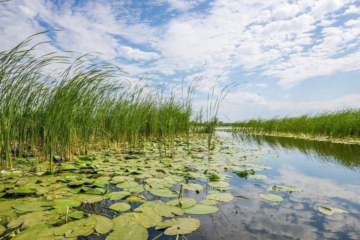 The Black Sea och Donau Delta Tour - 2 dagar