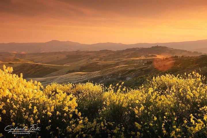 Brunello Wine Tour e Val D'Orcia Landscape
