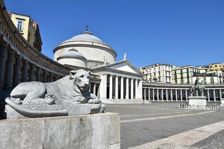 Transfer from Rome to Naples (or vice versa)