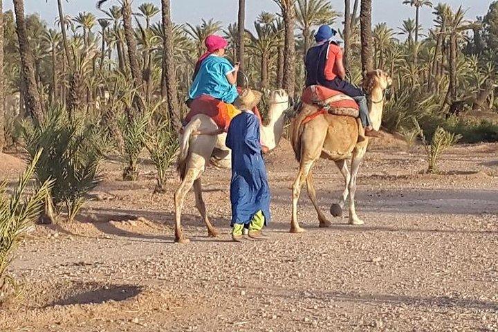 Marrakech Desert Camel Ride