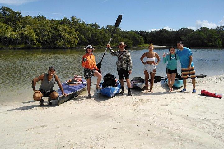 Kajaktur i Holbox mangroveskove