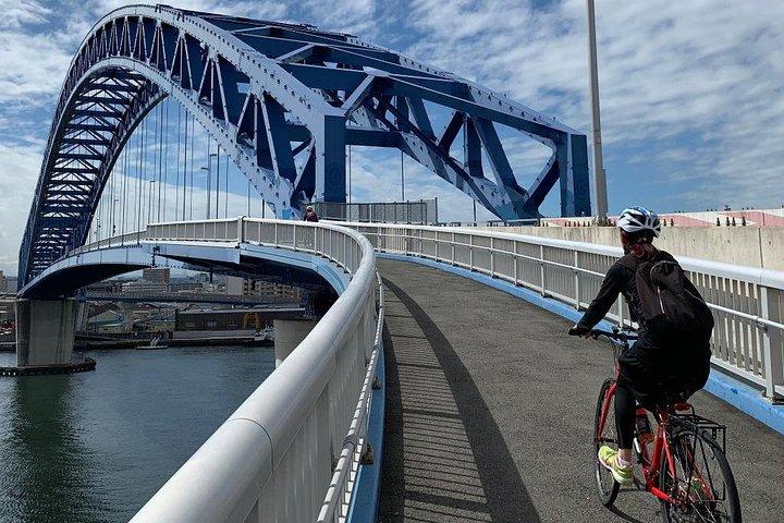 Haven van Osaka en begeleide sightseeingrit