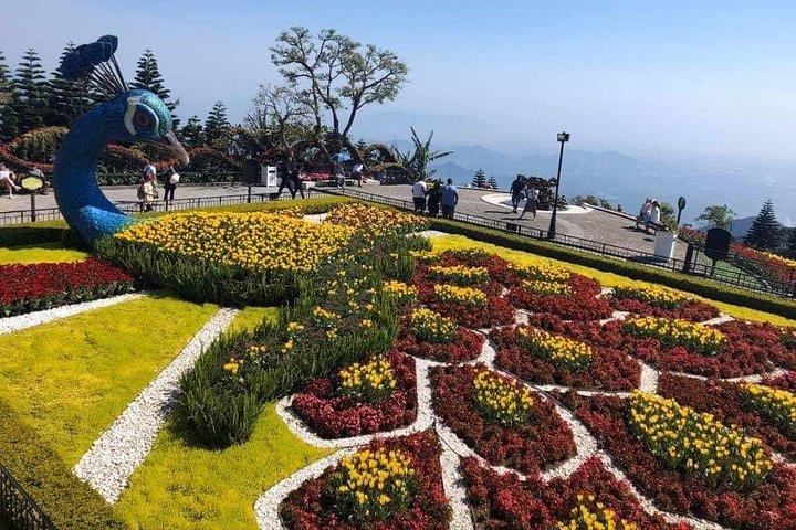 Golden Bridge Ba Na Hill via kabelbane Early Morning & Da Nang City Fullday Tour