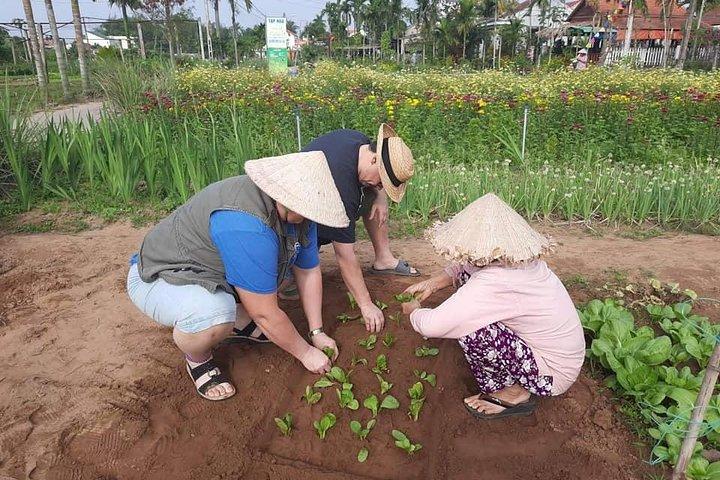 Hoi An Village Experience Tour & Lantern Making Class