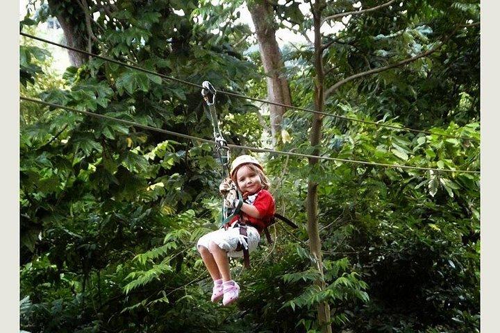Zip Line - Half Day Adventure