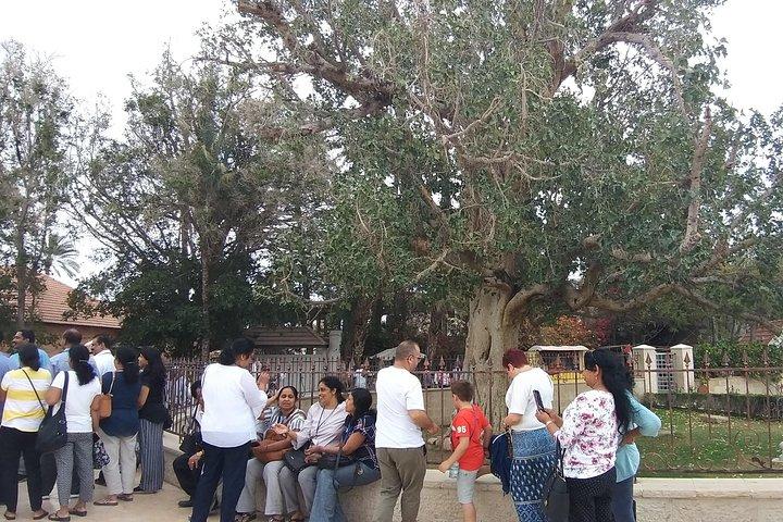 ベツレヘム、ジェリコ、カセル アル ヤフドへの旅行 - エルサレムからのガイド付きツアー