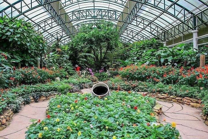 ワット・ドイ・ステープ寺院&プーピン宮殿:チェンマイの見どころ