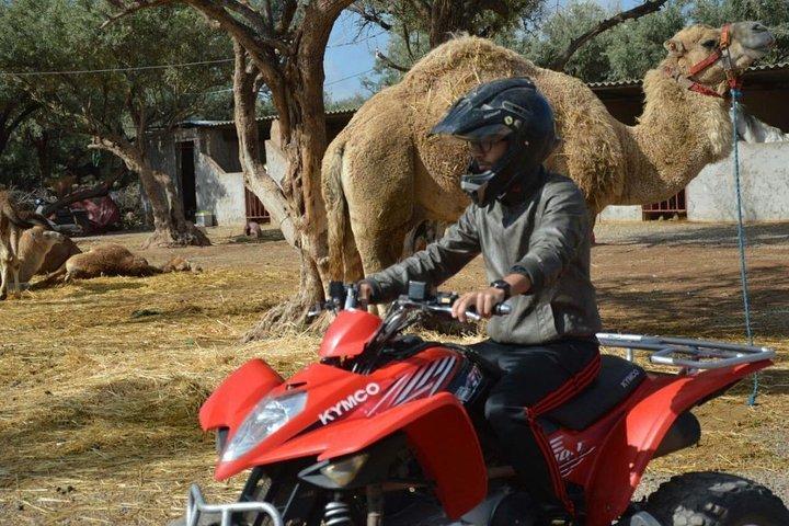 Marrakech Palmeraie Quad Bike Desert Adventure