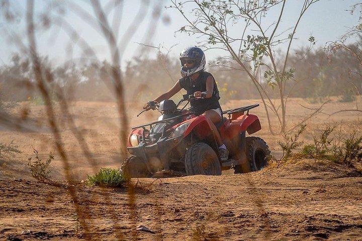 Marrakech Palmeraie Quad Bike Desert Adventure